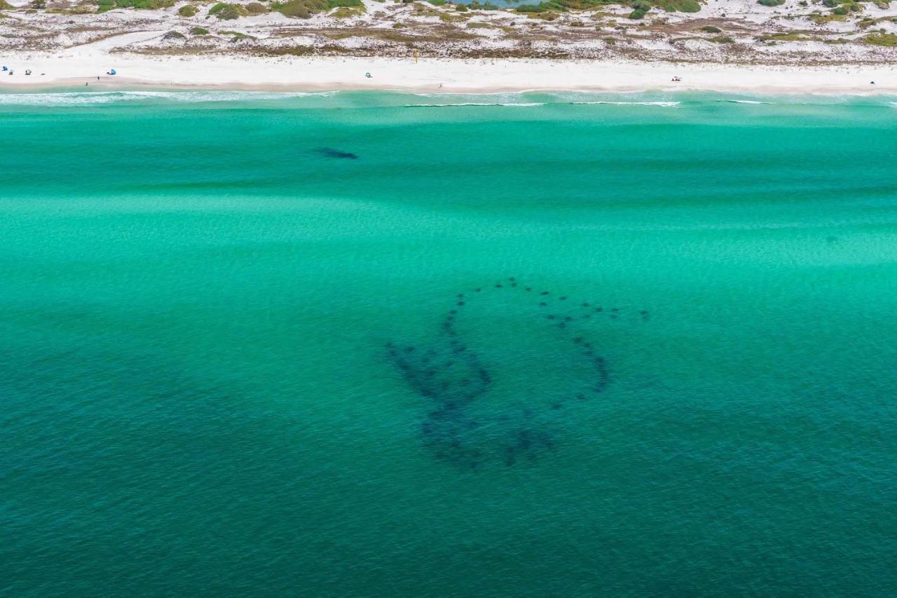 Surfin' Turtle Villa Santa Rosa Beach Eksteriør bilde